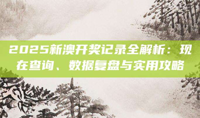 2025新澳开奖记录全解析：现在查询、数据复盘与实用攻略